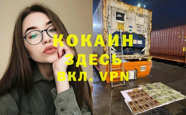 спиды Новодвинск
