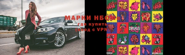 стафф Нефтегорск
