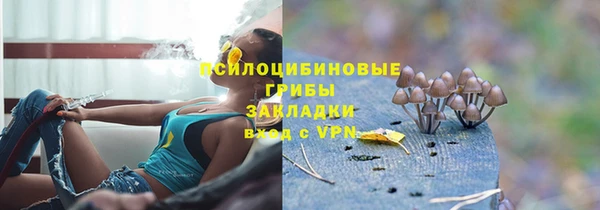 таблы Новокубанск