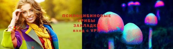 спиды Новодвинск