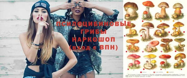 стафф Нефтегорск