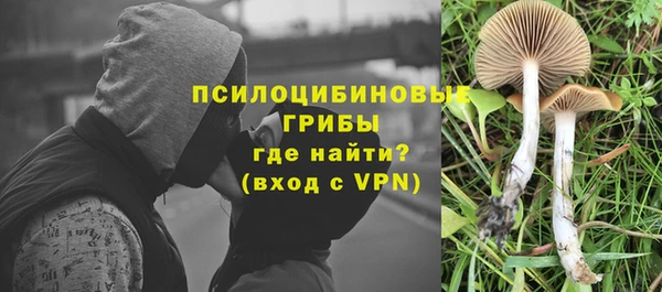 шишки Нефтекумск