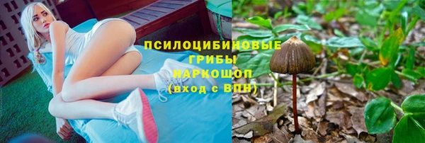 спиды Новодвинск