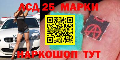 прущие грибы Кингисепп