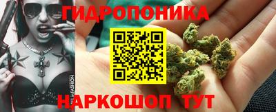 прущие грибы Кингисепп