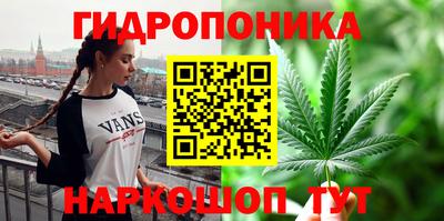 прущие грибы Кингисепп