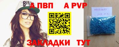 прущие грибы Кингисепп