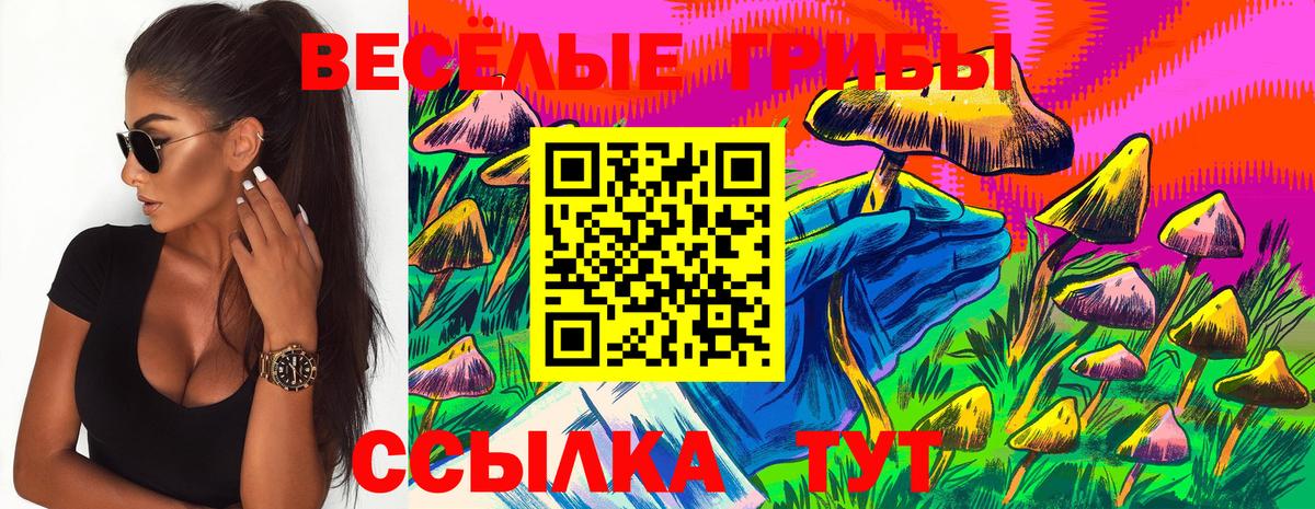 Сарапул  Галлюциногенные грибы Psilocybe  Псилоцибиновые грибы GOLDEN TEACHER  Вход с VPN 