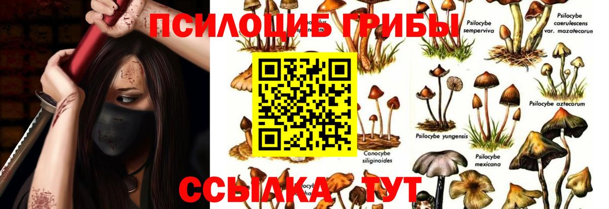 Галлюциногенные грибы GOLDEN TEACHER  Сарапул  Псилоцибиновые грибы Psilocybe 
